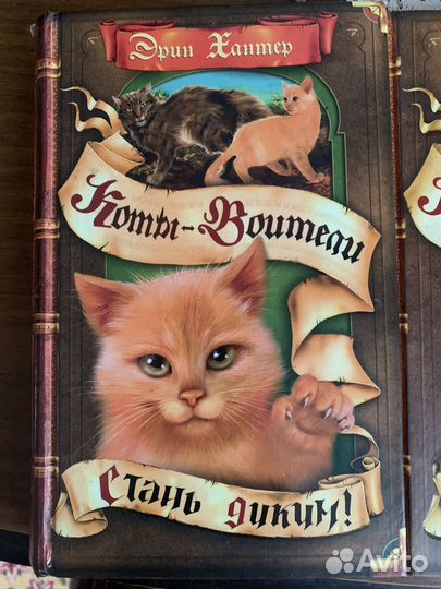 Книги Коты-воители