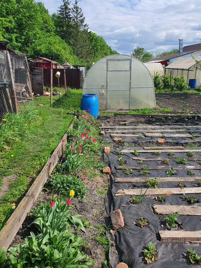 Дом 56,9 м² на участке 17,5 сот.