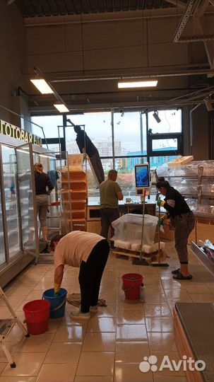 Клинер ежедневные выплаты.актуально