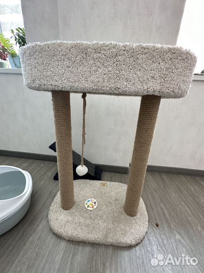 Когтеточка для кошек