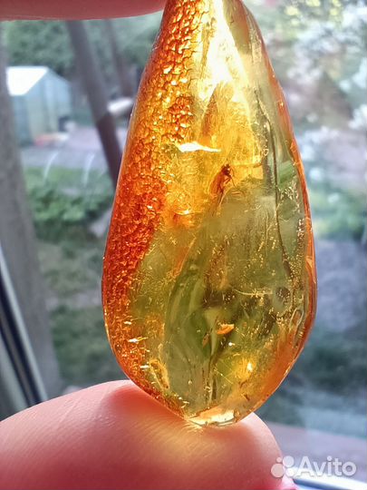Янтарь с инклюзами