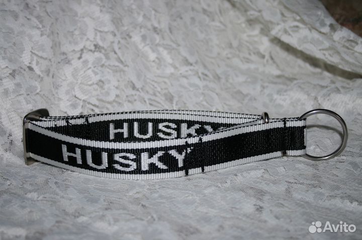 Ошейники для ездового спорта