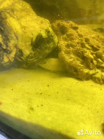 Аквариум с тумбой