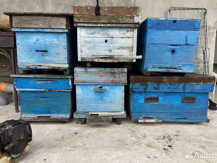 Ульи для пчел, дадан