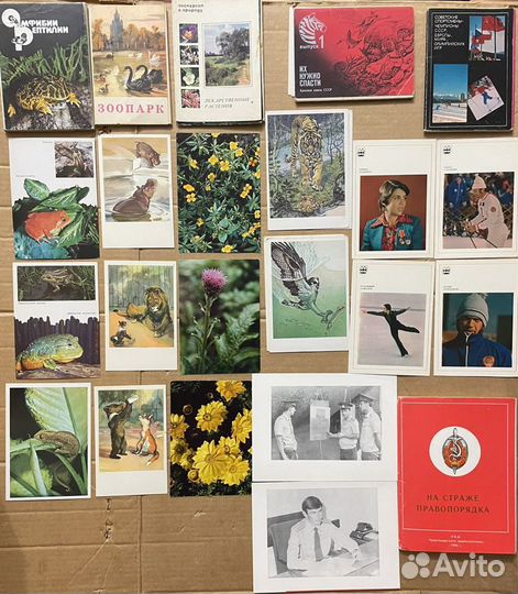 Советские спортсмены-чемпионы СССР Наборы открыток