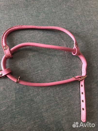 Шлейка для собаки