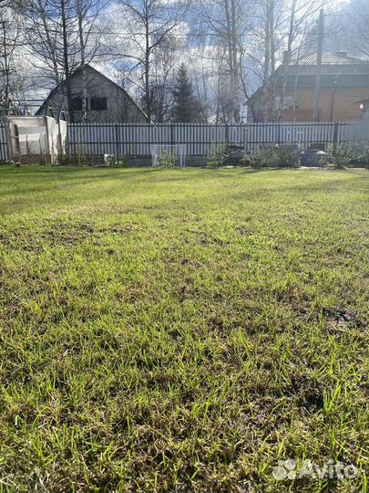 Покос травы, уход за газоном, благоустроиство