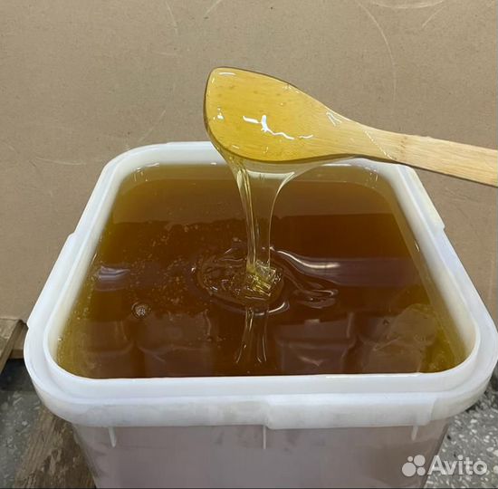 Мёд оптом