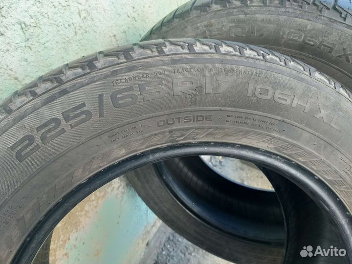 Nokian Tyres Hakka Blue 225/65 R17 106H