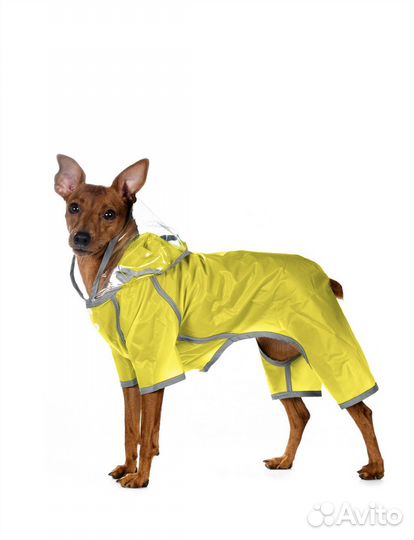 Одежда для собак дождевик