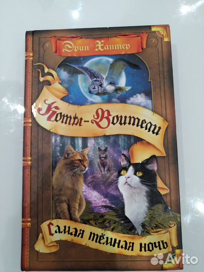 Коты воители, самая темная ночь