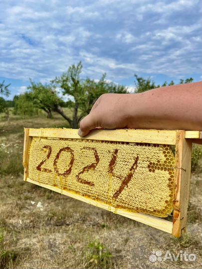 Мёд 2024 цветочный