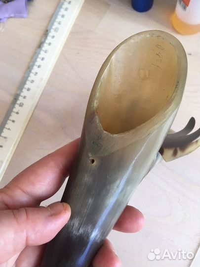 Лось из рога