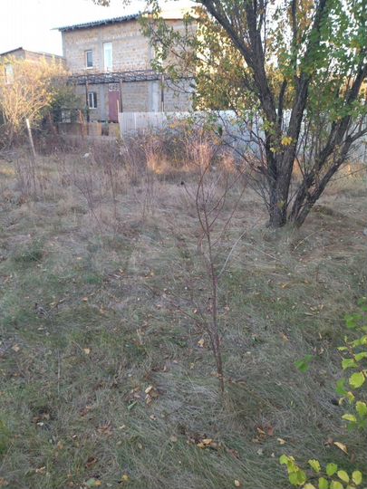 Участок 4,6 сот. (СНТ, ДНП)