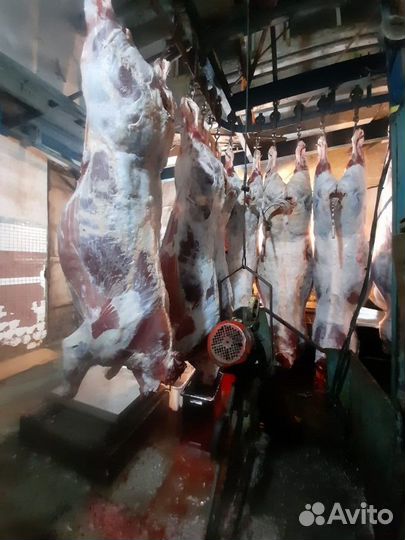 Мясо говядина