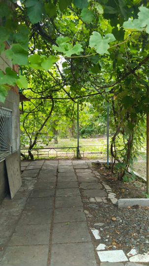 Дача 90 м² на участке 5,4 сот.