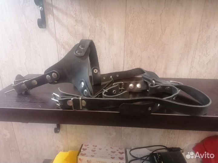 Ошейник, поводок, шлейка, намордник