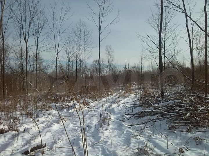 Участок 15,3 сот. (ИЖС)