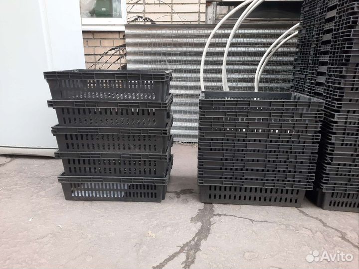 Хлебный, евролоток, ящик пластик под рассаду