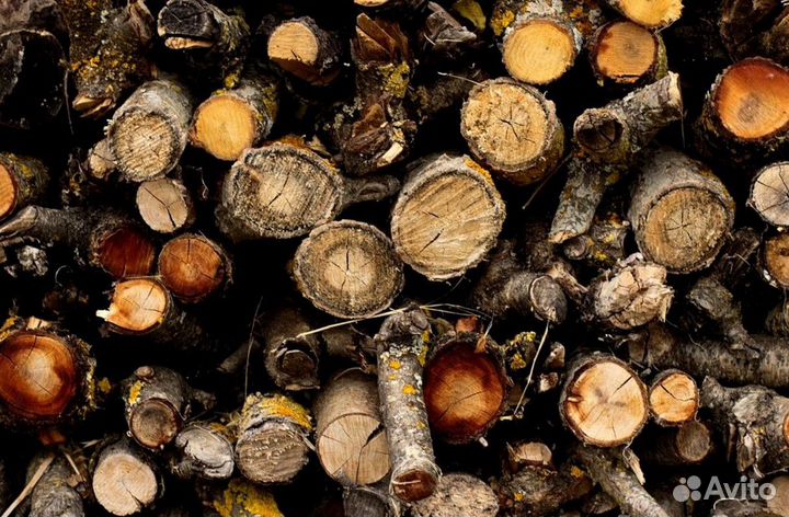 Дрова с Выборга