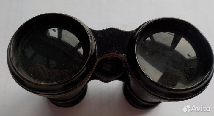 Бинокль ранний