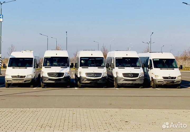 Аренда микроавтобуса/автобуса на свадьбу