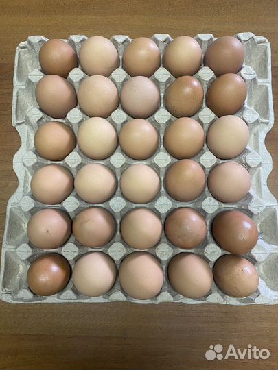 Домашние куриные яйца