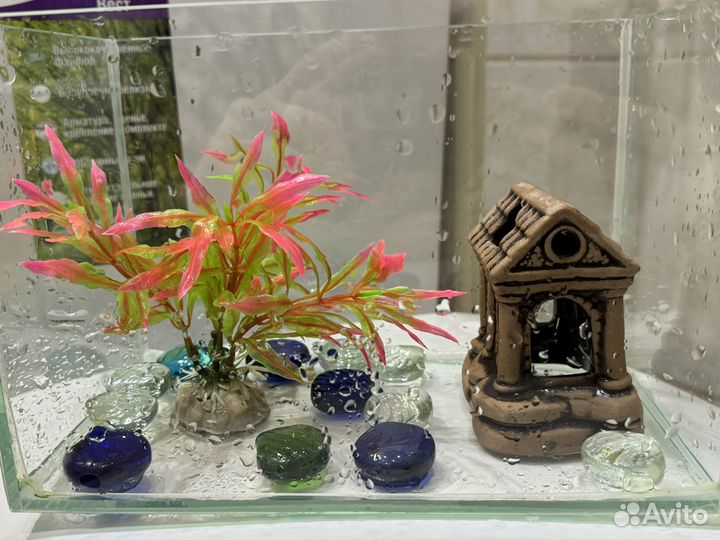 Аквариум для рыбок