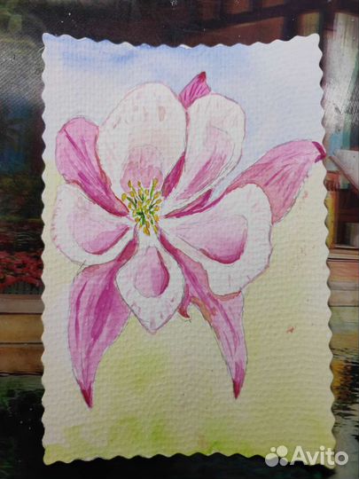 Цветы. Нежная аквилегия колумбийская. А5. Акварель