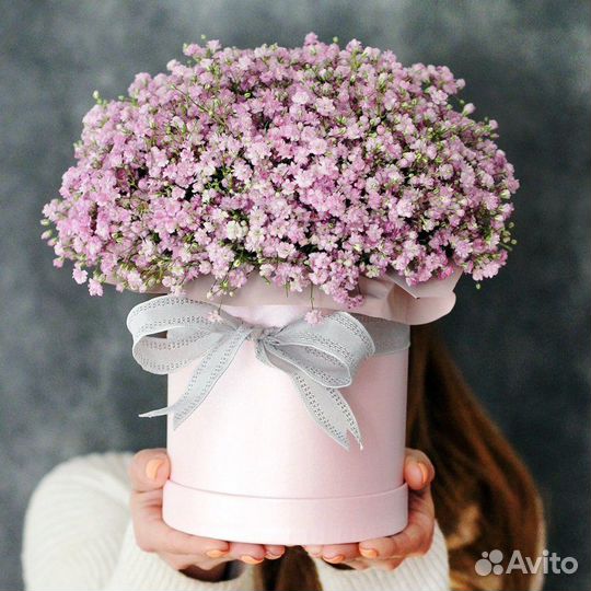 Цветы гипсофила