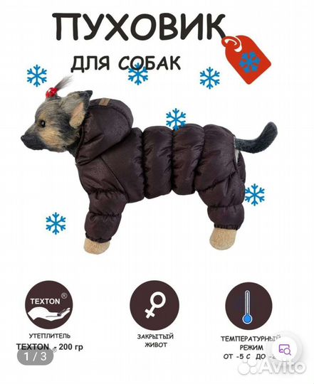 Одежда для собак