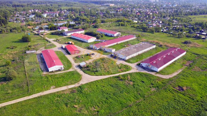 Фермерское хозяйство