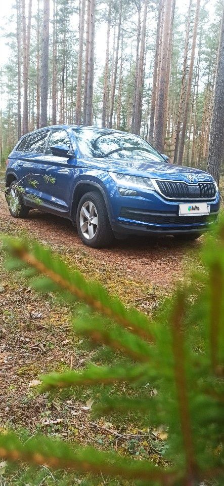 Skoda Kodiaq: фото владельца