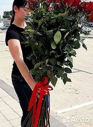 Высокие розы Гигантские розы 110