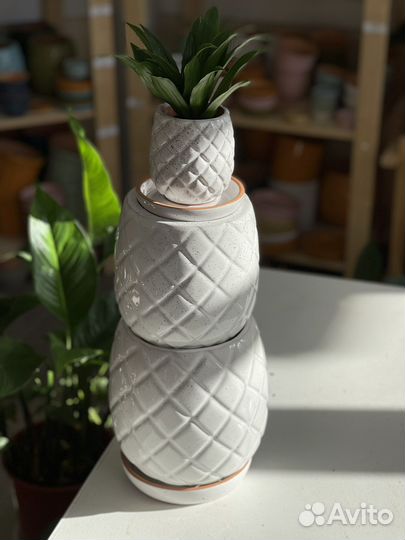 Керамические горшки