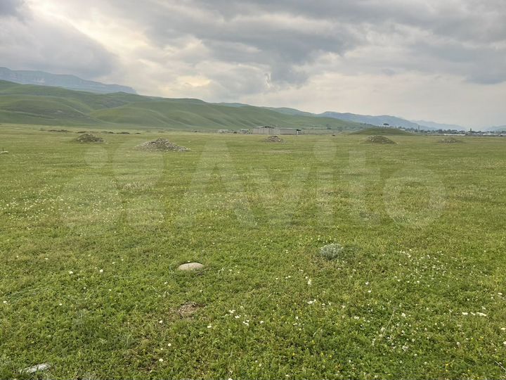 Участок 15,5 сот. (СНТ, ДНП)