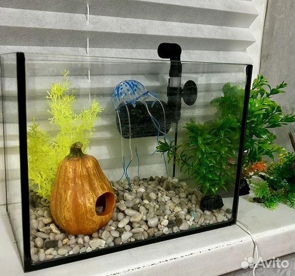 Аквариум