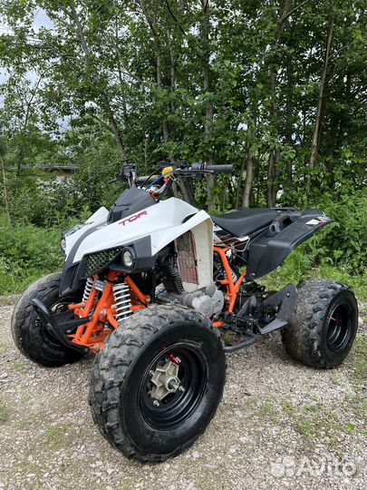 Kayo TOR 250