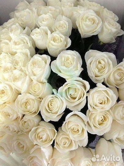 Розы высокие Доставка цветов