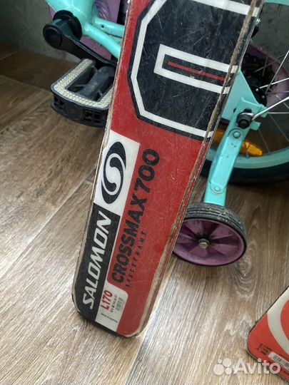 Горные лыжи