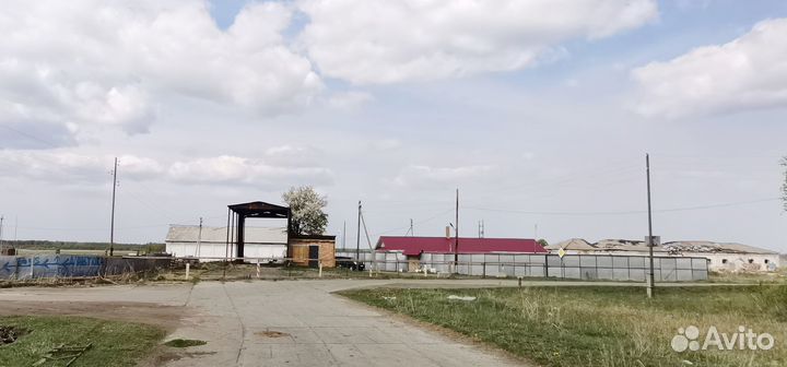 Животноводческая ферма продаю