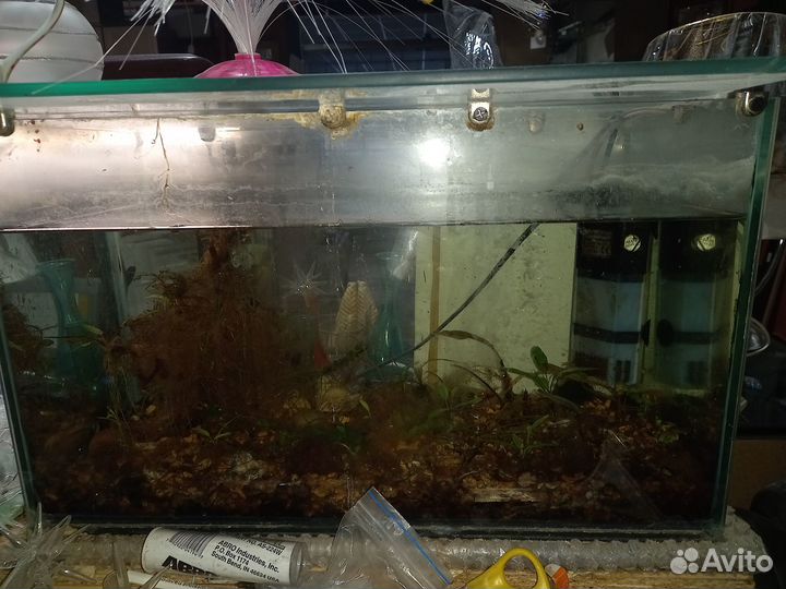 Аквариум с тумбой фильтром готовый