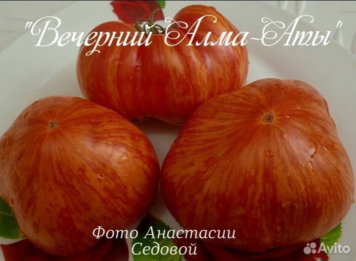 Семена томатов и перцев