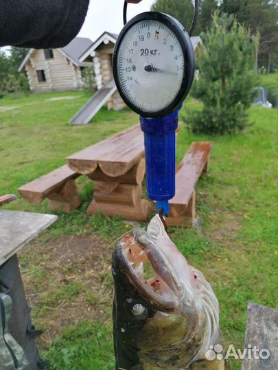 Рыбалка в Карелии на Онежском озере под ключ