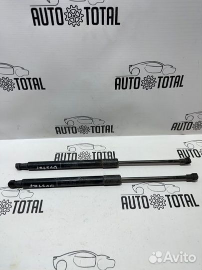 Амортизатор двери багажника Renault Duster