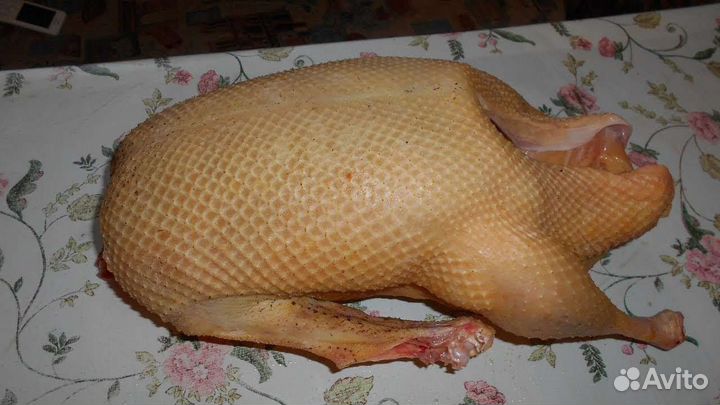 Гусь