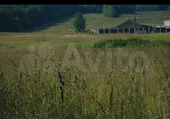 Участок 50 сот. (ИЖС)
