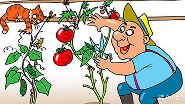 Разнорабочие в тепличный комплекс Оплата еженедель