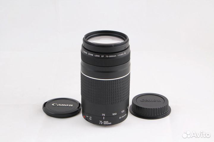 Объектив Canon EF 75-300 4-5.6
