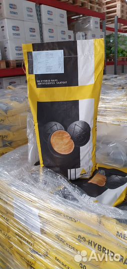 Семена рапса